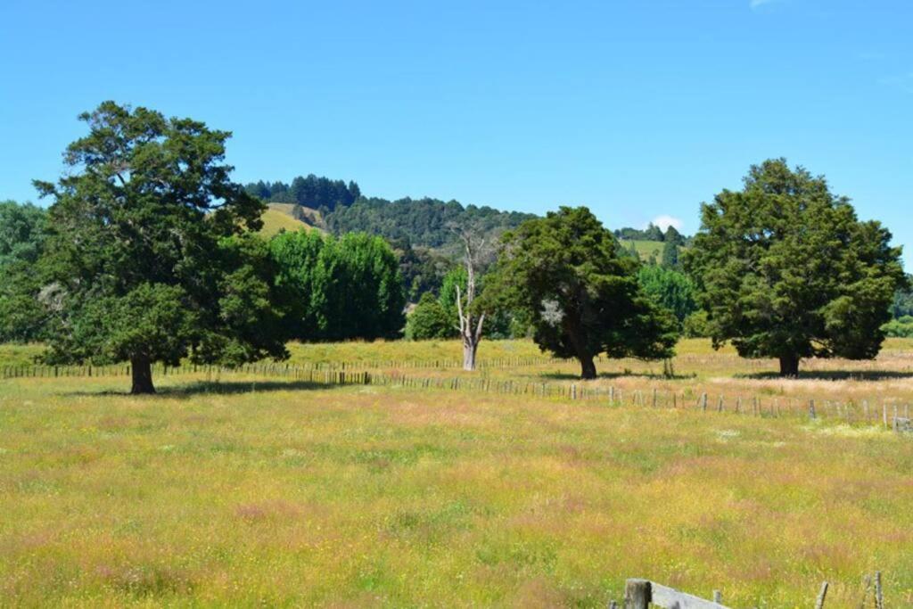 Riverlea Cottage - Cosy, Comfy, Quiet, Central Taumarunui Zewnętrze zdjęcie