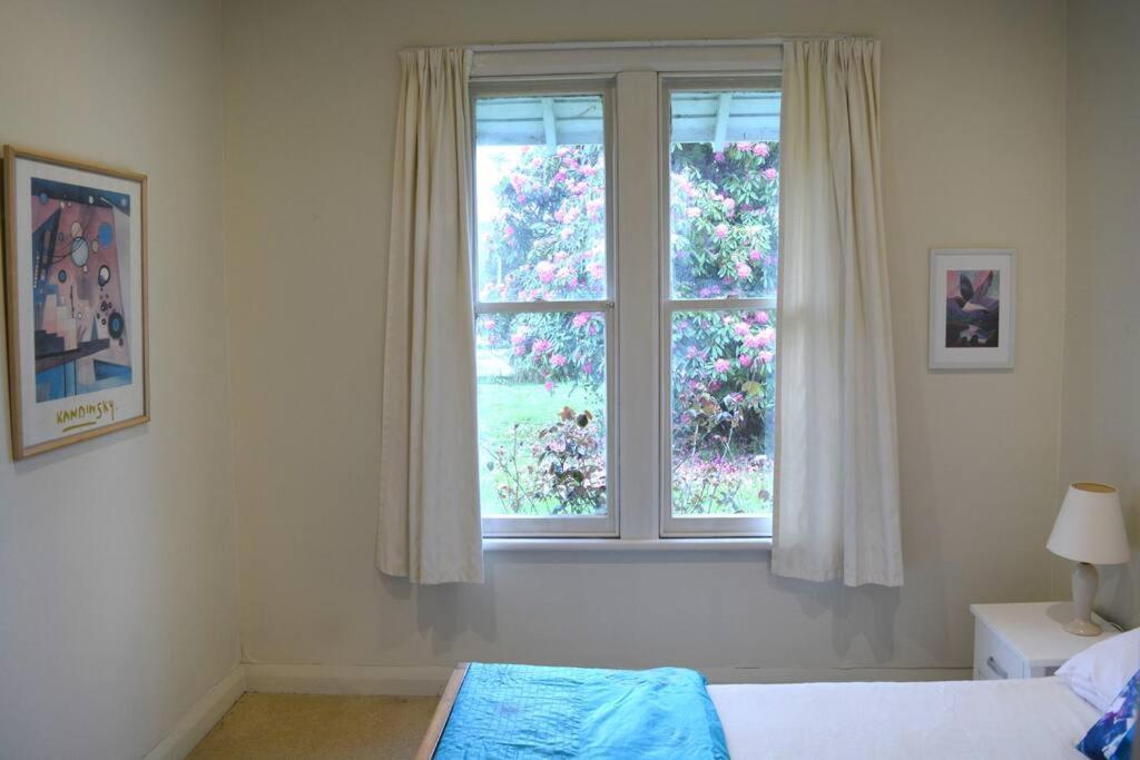Riverlea Cottage - Cosy, Comfy, Quiet, Central Taumarunui Zewnętrze zdjęcie